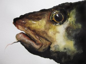 The Codfish/ Camilla Lundquist