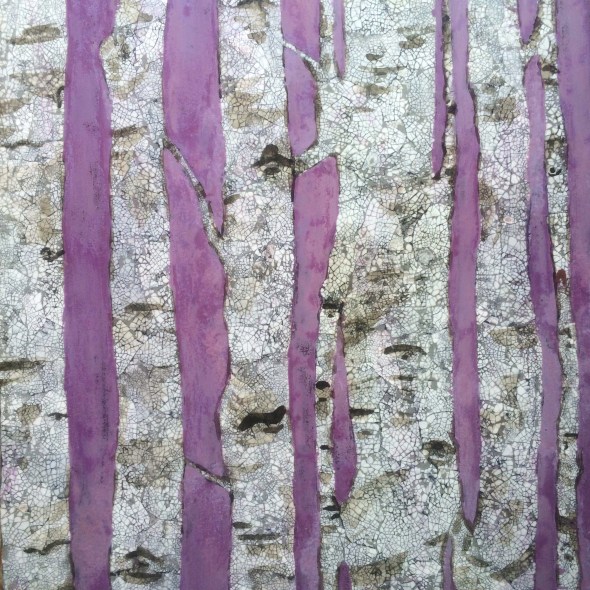 Birch, Close up